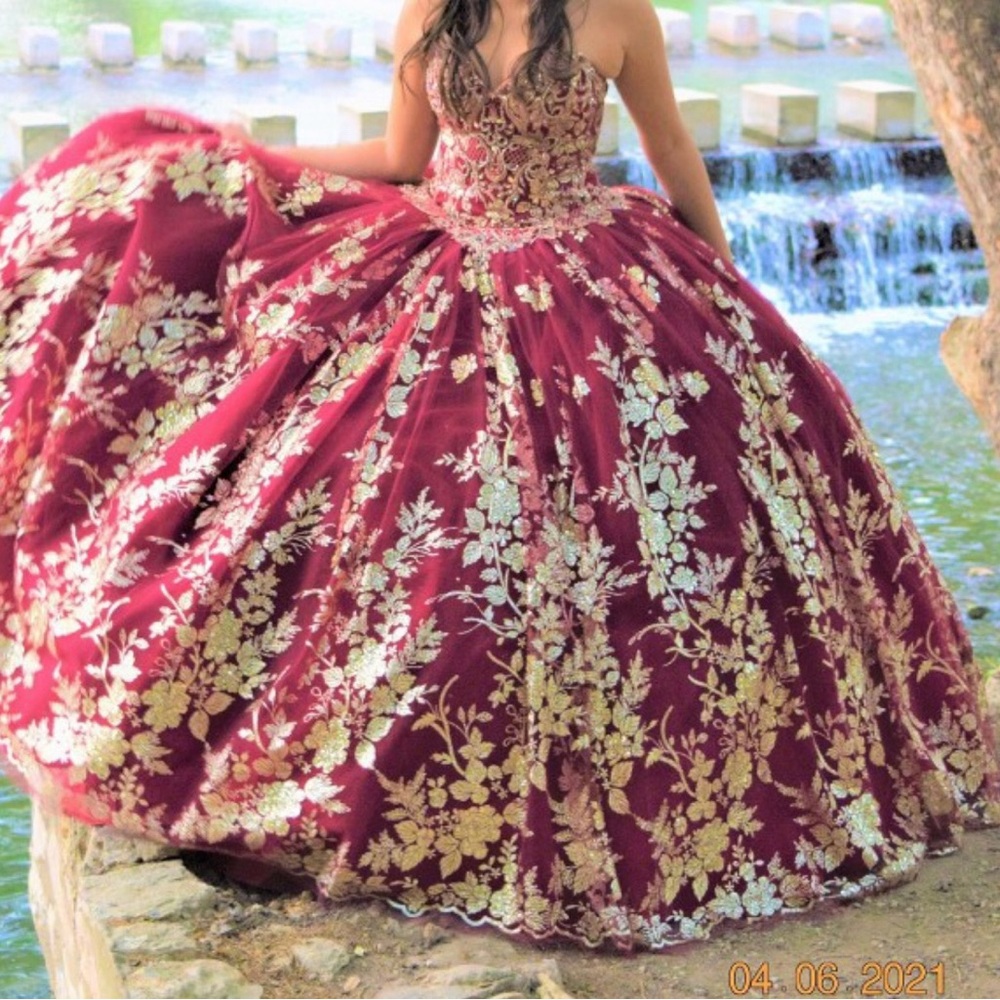Quinceañera/Sweet 16 Dress